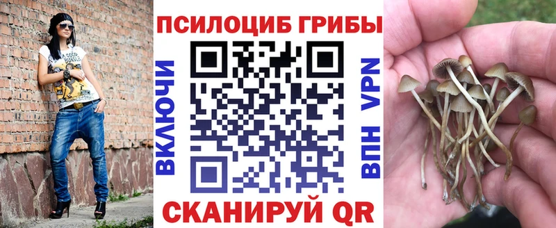 Галлюциногенные грибы MAGIC MUSHROOMS  магазин  наркотиков  Короча 